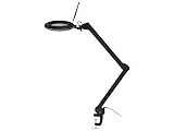goobay 64986 - Lampada LED con lente d'ingrandimento in plastica, 10 W, flusso luminoso 800 lm/tensione di funzionamento 230 V (AC) / nero