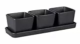 WENKO Ciotole per snack e salse, set 4 pezzi, piccolo vassoio con 3 ciotoline da 300 ml in ceramica di qualità, accessorio Black Outdoor Kitchen per tapas, snack e fingerfood, 30 x 10 x 8 cm, nero