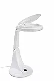 Velamp LE004LED Lampada LED con Lente a 3-12 Diottrie