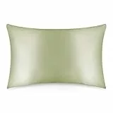 Desmend 100% federa seta cuscino 50 x 75 cm di gelso per capelli e pelle 19 momme anti invecchiamento ipoallergenico anti acne calda d'inverno fresca d'estate cerniera（1 pezzo verde mela）