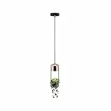 Paulmann 79749 Sospensione Fanja Lampada per Piante Max. 20 Watt lampadario Nero, Rame Metallo GU10