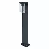 LEDVANCE LED ENDURA CLASSIC CASCADE Palo E27 CLR Piantana e Segnapasso per 1x Lampade E27, Lampada di Design dal Look Contemporaneo, Altezza 80cm, in Alluminio e Vetro Trasparente