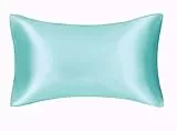 Juwenin Home - Confezione da 2 federe per cuscino in pura seta di gelso, morbide, per capelli e pelle, con chiusura a busta (Standard (50x75cm) 1Pk, Acquamarina)