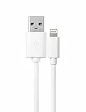 Iphone Lightning Cavo Usb Lungo 1 M