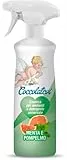 COCCOLATEVI Essenza per Ambienti Menta e Pompelmo 750 ml Profumatore per Ambienti, Armadi, Cassetti, Automobile, Deodorante Ambiente, Profumo casa, Detergente Superfici, Antipolvere, Elimina Odori