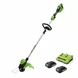 GreenWorks 2×24V Tagliaerba a Batteria, Distanza di Taglio di 33 cm, Linea di Taglio da 2 mm, Impugnatura supplementare Rotonda, Peso Leggero, 3,6 kg, con Batteria da 2 x 2 Ah e Caricatore Doppio