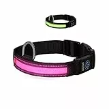 Nobleza - LED Collare Luminoso per Cani, con 3 modalità D'ardore Collare di Nylon Riflettente Regolabile, Ricaricabile Tramite USB LED Collare per Cani, Alta visibilità e Sicurezza, Rosa M
