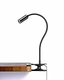 Hifree Lampada con Pinza in Alluminio, LED Lampada da Lettura con Braccio Flessibile a 360°, Luce da Lettura con 10 Livelli di Luminosità, Lampada da Tavolo Regolabile per Lettura/Lavoro/Viaggi