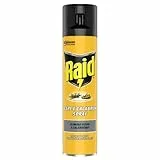 Raid Insetticida Spray Elimina Vespe e Calabroni, per Uso Interno, Azione Rapida per Spruzzo Diretto, 1 Confezione da 400ml