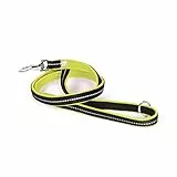 Julius-K9, Guinzaglio IDC Powair, Taglia: 1,2 m con maniglia e moschettone grande, Neon