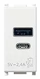 Vimar 14292.AC Plana Presa USB 5 V 2,4 A, 1 uscita USB tipo A e 1 tipo C, erogano complessivamente 2,4 A per caricare contemporaneamente due dispositivi