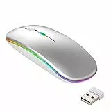 GeekerChip Mouse Bluetooth Ricaricabile,Mouse Wireless Silenzioso,Mouse Senza Fili a Due Modalità (Bluetooth 5.1+2.4G),3 Livelli DPI(800/1200/1600) Regolabili per PC,MacBook(Argento)