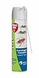 Protect Home Fastion Spray, Insetticida a rapida azione per eliminare formiche e scarafaggi. Con cannuccia per applicazione di precisione 400 ml
