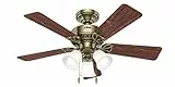 HUNTER FAN Beacon Hill,107cm, Ventilatore da Soffitto per Interni con Luce e Catena a Strappo, Finitura in Ottone Antico, 5 Pale in Palissandro e Rovere, Ideale per l'Estate e l'Inverno,Modello 24904