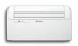 Olimpia Splendid 02120 Climatizzatore Senza Unità Esterna Unico Art 12 HP CVA, 2,6 Kw Freddo, 2,4 Kw Caldo, Motore Inverter, Wi-Fi Ready, Bianco