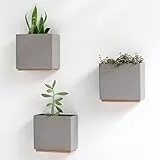 Kazai. Fioriere da Parete -Alma- | 3 Vasi per Piante Sospesi Moderni in Resina | Set Porta Piante per Piante da Interno, Piante Artificiali e altro | Tortora
