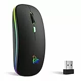 TQQ Mouse wireless ricaricabile, mouse retroilluminato a 7 colori con mini ricevitore USB da 2,4 GHz, mouse gaming, compatibile con laptop, PC, Compatibilità, Chromebook, Notebook