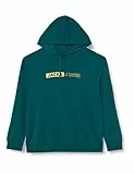 JACK&JONES PLUS Jjneo Sweat Hood Pls Felpa con Cappuccio, Tempesta/Stampa: Scala Piccola, 4XL Uomo
