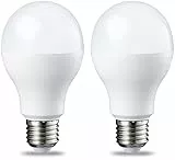 Amazon Basics - Confezione da 2 lampadine a LED, con attacco Edison E27, piccole, da 13 W (equivalenti a 100 W), Luce Bianca Calda, non dimmerabili
