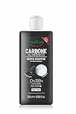 Equilibra Capelli, Dermo Shampoo Idratante Carbone Ialuronico, Shampoo per Capelli Impuri, con Carbone Vegetale, Acido Ialuronico, Aloe Vera, Idratante Naturale, Olio Essenziale di Limone, 265 ml