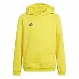 adidas ENTRADA 22 Sweat, Felpa con Cappuccio Unisex-Bambini, Team Yellow/Black, 11-12A