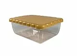 Snips |Contenitore Porta Biscotti |Coperchio Salva Freshezza | Colore Beige| 2,70 LT | 24,5x18,5x9,5 | Made in Italy | 0% BPA e phthalate free