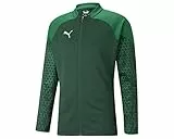 PUMA Giacca da Allenamento Teamcup, Lavorata a Maglia Uomo, Verde Peperoncino, M