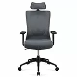 Marchio Amazon - Movian Sedia da ufficio Executive, schienale alto, poggiatesta, braccioli e supporto lombare regolabili, 63 x 59,5 x 124 cm - Colore grigio