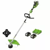 Greenworks GD24X2TXK4X Tagliabordi a Batteria x Giardini Medio-Piccoli, Ampiezza Taglio 40cm, Erogazione a Pressione Doppio Filo Nylon 2mm, 2x Batterie 24V 4Ah e Caricabatterie doppio, Garanzia 3 Anni