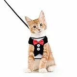 Nobleza Pettorina per Gatti con Guinzaglio, Imbracatura per Gatti Piccoli Regolabile Guinzaglio, Abiti da sera per Gatti Cuccioli e Conigli