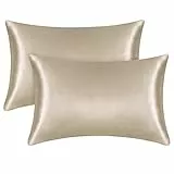 Federe Cuscini Letto Matrimoniale Federa Seta Cuscino 76×51cm Copricuscino Letto Morbido Federa Di Seta Cuscini Letto Federa in Seta per Proteggere Capelli (Champagne)