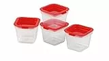 Tescoma 891872 Purity Mini Contenitori Igienici per Freezer, 4 Pezzi, Plastica, Trasparente