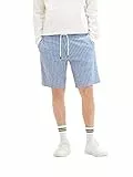 TOM TAILOR Denim 1037042 Bermuda Shorts, 31162-Strisce Bianche Blu, L Uomo