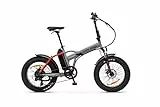 Argento Mini Max, Bici Elettrica, Pieghevole , Ruote Fat 20'x 4, Freni a Disco Meccanico, Motore 250W, Peso Max Supportato 100 kg, Batteria Samsung 375Wh, 26 kg, Grigio Mat/Rosso