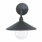 Amazon Basics - Lampada da parete per esterni con lampadina e vetro diffusore trasparente, 28,7 x 27,2 x 33 cm, nero