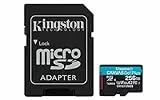 Kingston SDCG3/256GB Scheda di Memoria microSD, 256GB microSDXC Canvas Go Plus 170R A2 U3 V30, Adattatore SD Incluso