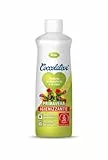 COCCOLATEVI Profumatore Essenza Bucato Lavatrice e Asciugatrice, Igienizzante Primavera 300 ml, per Casa o Detergente Pavimento