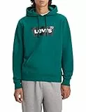 Levi's Standard Graphic Sweatshirt, Felpa con Cappuccio Grafico Standard Uomo, Verde (Bw Hoodie Evergreen), L