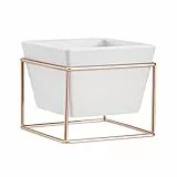 Amazon Basics - Portapiante da tavolo, quadrato, bianco/rame