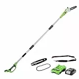 Greenworks Tools 2000107UA Potatore Telescopico, 24 V, Verde, 20 cm (8') + Sega a Catena 20 cm (8') + Guida 20 cm per Motosega, 29497
