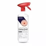 Spray antipulci per ambienti e tessuti AMP 2 CL - Anti pulci per casa 500ml - Spray pulci per ambiente e tessuti interni ed esterni - Disinfestazione da pulci e antizecche per ambienti