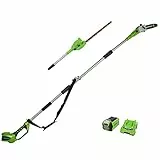 Greenworks G40PSHK2 Sega e Tagliasiepi ad Asta a Batteria 2 in 1 con Tracolla, Barra 20cm, Lame a Doppia Azione 51cm, 40V 2Ah e Caricabatterie, Garanzia 3 Anni