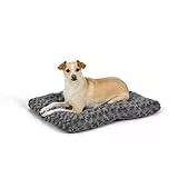 Amazon Basics - Materassino per Cane animali domestici, grigio con motivi a spirale, L 58 x P 46 x H 6 cm
