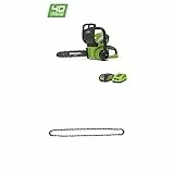 Greenworks Tools 20117UA Motosega con 2 Ah Batterie e Caricabatterie, 40 V, Verde, 30 cm (12') + Sega a Catena per Motosega, 29527