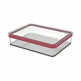 Rotho Loft Contenitore Rettangolare con Coperchio e Guarnizione, Plastica (SAN) senza BPA, Trasparente/Rosso, 1 L, 20.0 x 15.0 x 4.8 cm