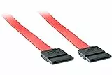 Lindy Cavo SATA III Interno, 0,7m