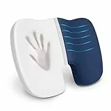 Cuscino del sedile ortopedico -Cuscino di sedile dell'azienda applicabile per il supporto della sedia da ufficio 46 x 35,6 x 6,7 cm per gambe, fianchi, coccige e schiena aumenta il comfort dei sedili