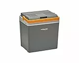 Aequator Lumi 24, Frigorifero Portatile, 24 Litri, Ac/Dc Frigo Portatile Termoelettrico, 12/230 V, Grigio