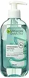 Garnier Ski nactive Gel Detergente con Estratto di Aloe Pelli Normali E Miste, (200 ML)
