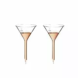 KENZIUM - Set di 2 Imbuti, di Diametro 100 mm | Gambo Corto di Diametro 13 mm | in Vetro spesso Borosilicato 3.3, Alta Resistenza | Ideale per Laboratorio, Cucina e Scuola